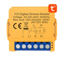 Smart socket switch ZigBee Avatto ZDMS16-2 TUYA