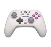 Wireless controler GameSir T4n (white)