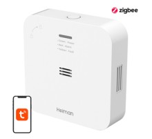 Smart Carbon Monoxide Alarm WS-720ES