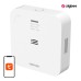 Smart Carbon Monoxide Alarm WS-720ES