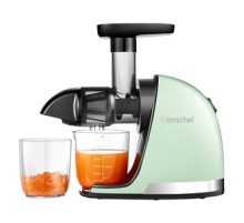 AMZCHEF 1501-GN-SM slow speed juicer (green)
