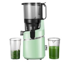AMZCHEF SJ-036-GN slow speed juicer (green)