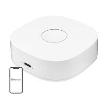 Smart home WS2GW-R WiFi