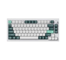 Keychron Q1 HE Wireless Keyboard RGB Nebula Magnetic Switch (White) [Q1H-P1].