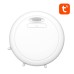Star projector WiFi NiteBird LB4 Tuya