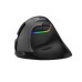 Wireless Vertical Mouse Delux M618Mini BT+2.4G RGB 4000DPI (Iron Gray)