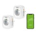Smart socket WiFi Gosund SP1-H (2-pack)(HomeKit) 16A