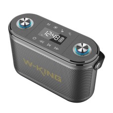 Wireless Bluetooth Speaker W-KING H10 S 80W + microphone (black)