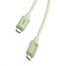 Fast Charging cable Baseus USB-C to USB-C Habitat Series 2m 100W (green)