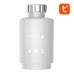 Smart Bluetooth Thermostat Valve Gosund STR1, TUYA