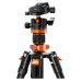 Tripod K&F Concept K254A3+BH-28L