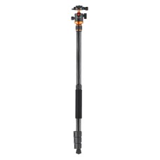 Tripod K&F Concept D254C1+BH-28L Tripod K&F Concept D254C1+BH-28L