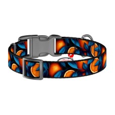 Waudog "Oranges" nylon dog collar with QR code, size L Waudog "Oranges" nylon dog collar with QR code, size L