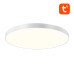 Smart ceiling lamp 30cm Bluetooth 16M RGBCW Gosund LB13 1600lm Tuya + Remote Control.
