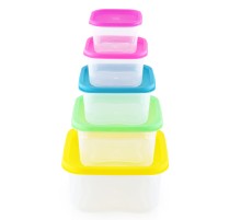 Herzberg HG-SFS5N1: 5-in-1 Square Food Storage Container Set