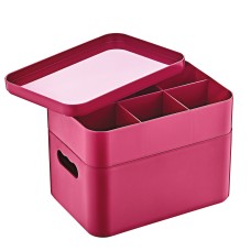 Herzberg HG-OKY676: 2 Layer Multipurpose Organizer Box Pink