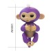 Cenocco Finger Toy Happy Monkey White