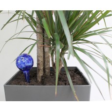 Genius Ideas Mini-Bulb Plant Water Dispenser - Set of 2 Genius Ideas Mini-Bulb Plant Water Dispenser - Set of 2