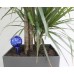 Genius Ideas Mini-Bulb Plant Water Dispenser - Set of 2