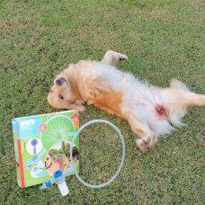 Pet Treatment ABS 360° Pet Washer Pet Treatment ABS 360° Pet Washer