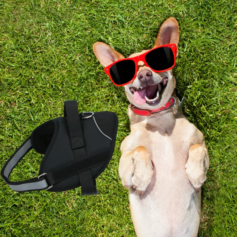 Pet Treatment ED-89963: Dog Harness L 70-86cm