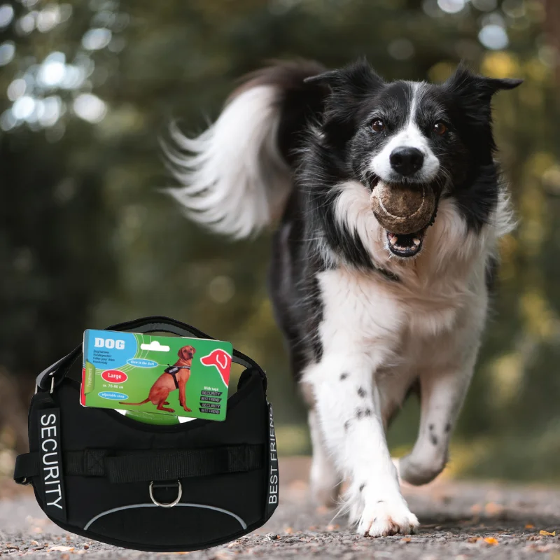 Pet Treatment ED-89963: Dog Harness L 70-86cm